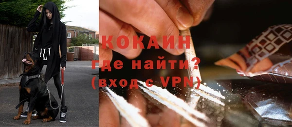 ПСИЛОЦИБИНОВЫЕ ГРИБЫ Верхний Тагил