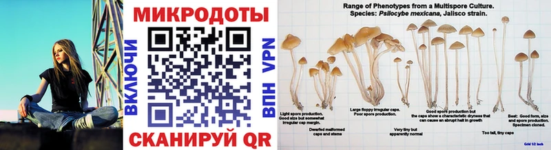 Галлюциногенные грибы GOLDEN TEACHER  OMG вход  Карабулак 